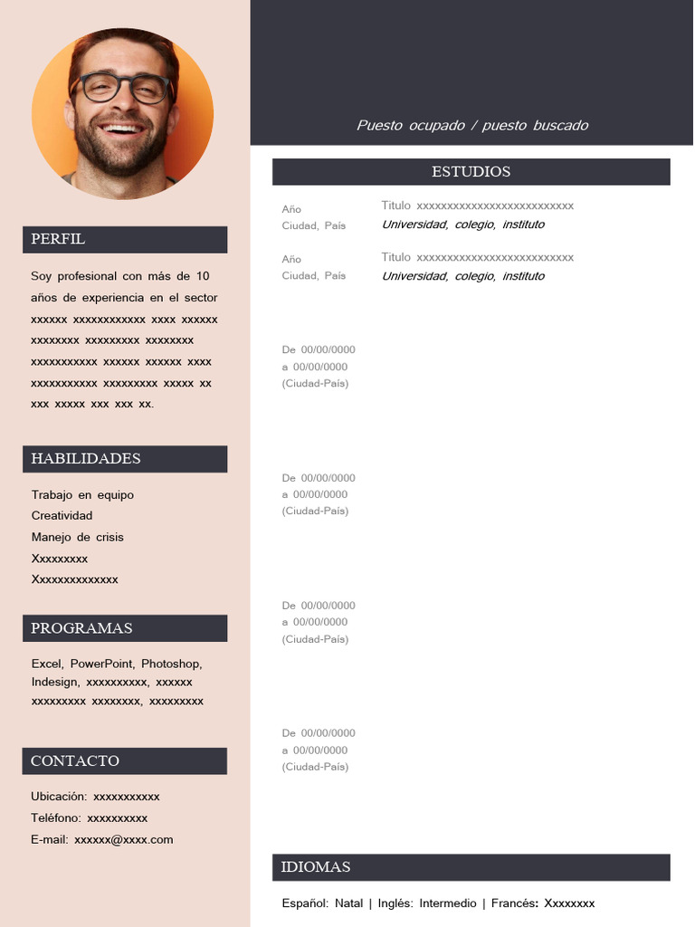 Formato Resumen Curricular 240124 - 1714355908