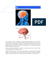 As Atividades F-Sicas para o Estudo