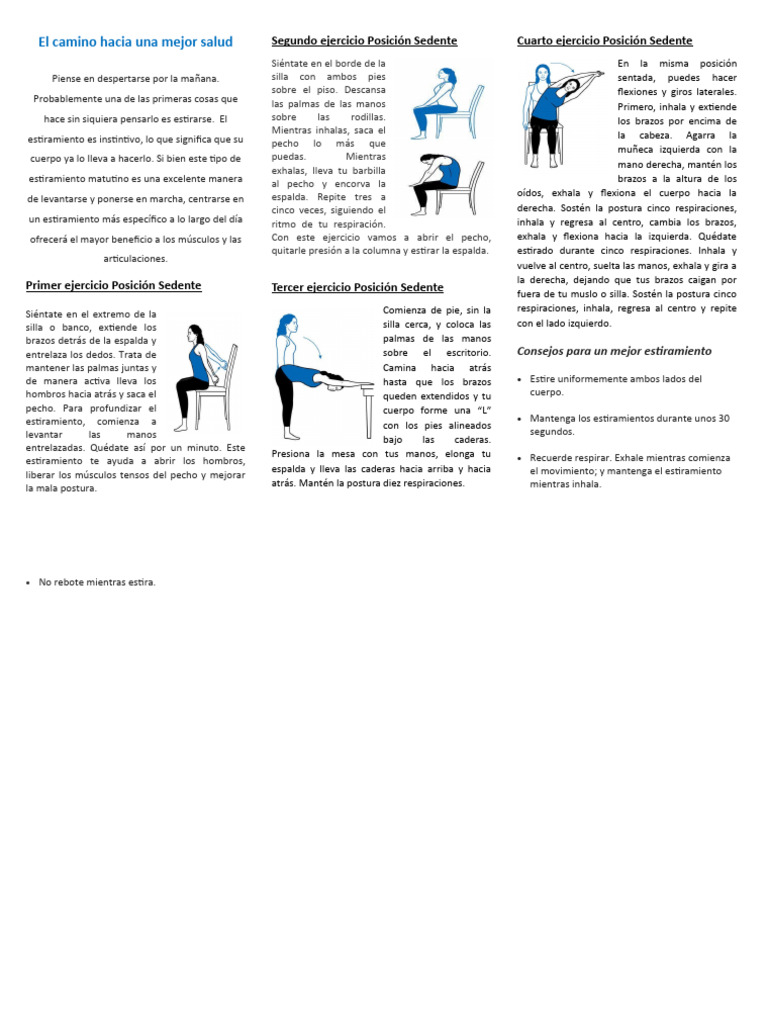 Estiramientos sedentaci n pdf