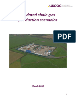 Updated Shale Gas Scenarios March 2019 Website