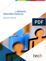 Derechos Deberes Laborales Basicos