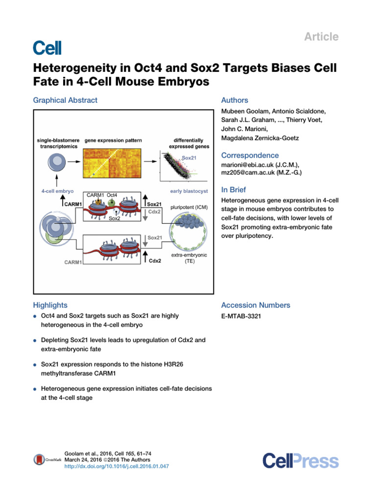 Heterogeneity in Oct4 and Sox2 Targets Biases Cell | PDF | Cell Potency ...