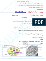 سلسلة وازن في العلوم تحويل الطاقة الضوئية الى طاقة كيميائية كامنة