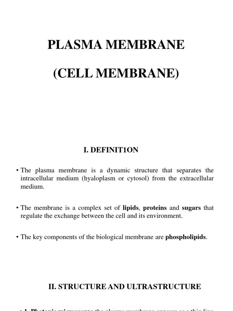 2 Plasma Membrane Pdf Chemical Synapse Cell Membrane