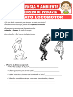 Aparato Locomotor para Tercero de Primaria