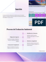 Proceso y Evaluacion Ambiental