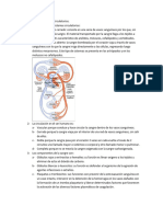 Tipos de Sistemas Circulatorios