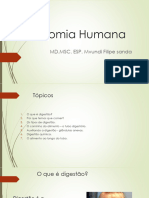 Anatomia Humana: MD - MSC. ESP. Mvundi Filipe Sanda