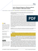 Amitrano2021 - Reducing The Evaporative Demand Improves Photosynthesis and Water Use Efficiency of Indoor Cultivated Lettuce