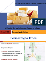 Fermentação Lácticas