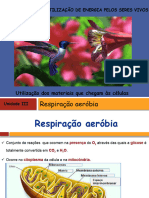 Respiração 