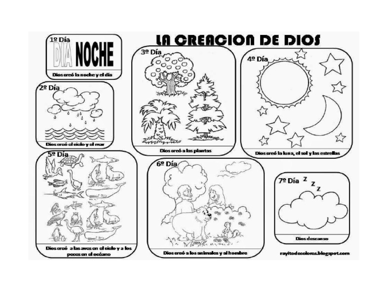 envision math grade 7 workbook