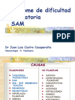Síndrome de Dificultad Respiratoria SAM: DR Juan Luis Castro Casaperalta