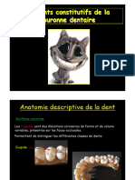 Anato Dentaire2an Elements Constitutifs de La Couronne-Dentaire