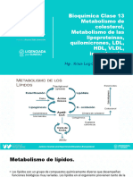 Teoria Semana 13 Metabolismo Del Colesterol Rc1