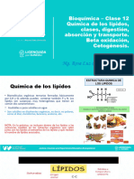 Bioquimica Teoria Semana 12 Lipidos Quimica Clases Absorcion Transporte RC Ansporte