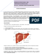 ATIVIDADE PROGRAMADA III - Fígado