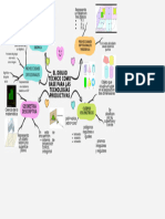 Mapa Mental Lluvia de Ideas