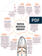 Mapa Mental - Principios Del Derecho Procesal Administrativo