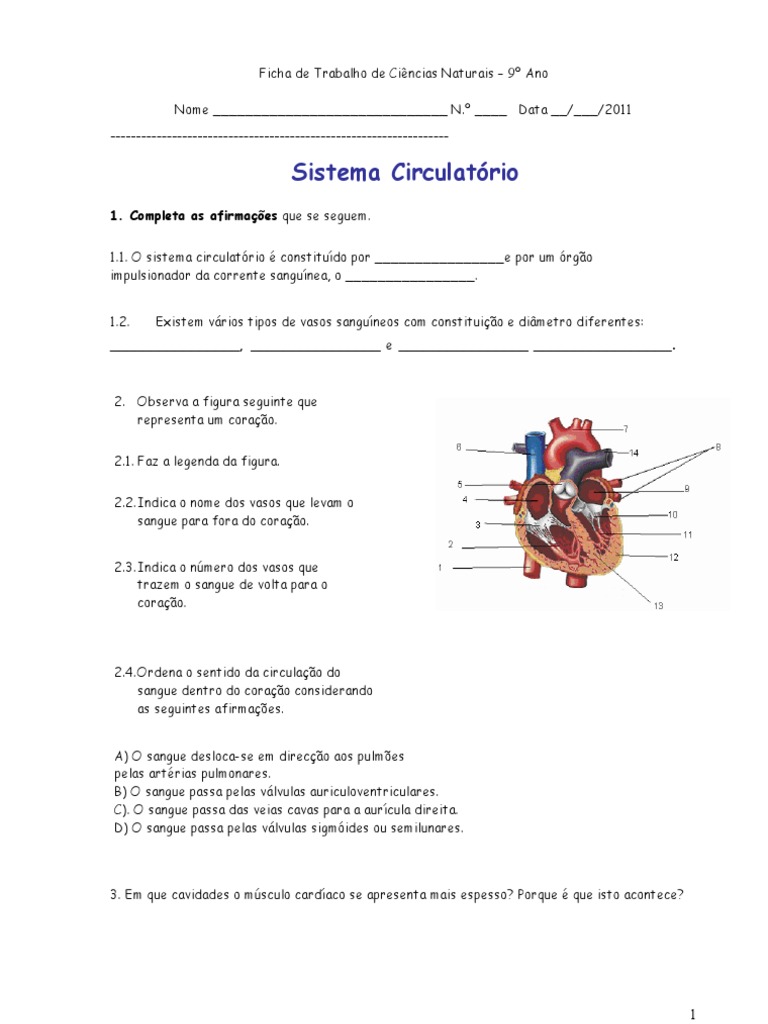 Poubelle/ supérieur