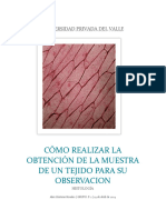 Cómo Realizar La Obtención de La Muestra de Un Tejido para Su Observacion - 112839