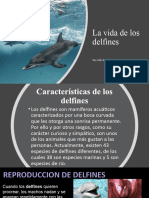 La Vida de Los Delfines