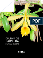 cultivo-baunilhas-praticas-basicas