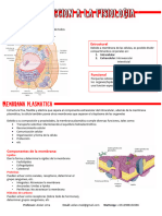 Ilovepdf Merged