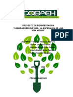 Proyecto de Reforestacion