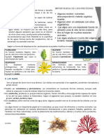 Lectura-Reino Protista