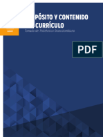 Proposito y Contenido Del Curriculo