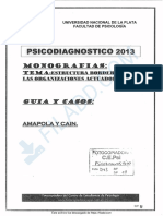 243 MONOGRAFIA Border Actuador Caso Amapola y Cain