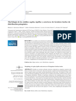 Mafis: Morfología de Los Otolitos Sagitta, Lapillus y Asteriscus de Genidens Barbus de Distribución Patagónica