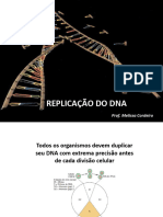 Replicação Do Dna