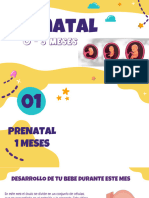 PRENATAL 0 - 3 MESES Nuevo