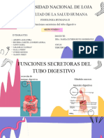 Funciones Secretores Del Tubo Digestivo Diapositivas