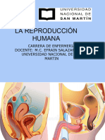 Salud Reproductiva Fisiologia