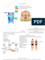 ANATOMIAYFISIOLOGIA10