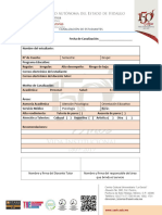 Formatos Pit