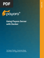 Using Payara Server With Docker