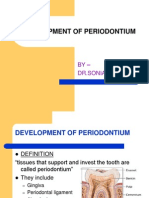 Development of Um