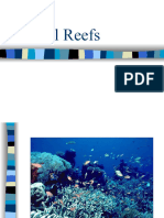 The Coral Reef Ecosystem