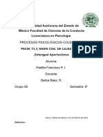 PSC06 - T1.3 - MAPA COG. de CAJAS Grupal Intergpal Aportaciones