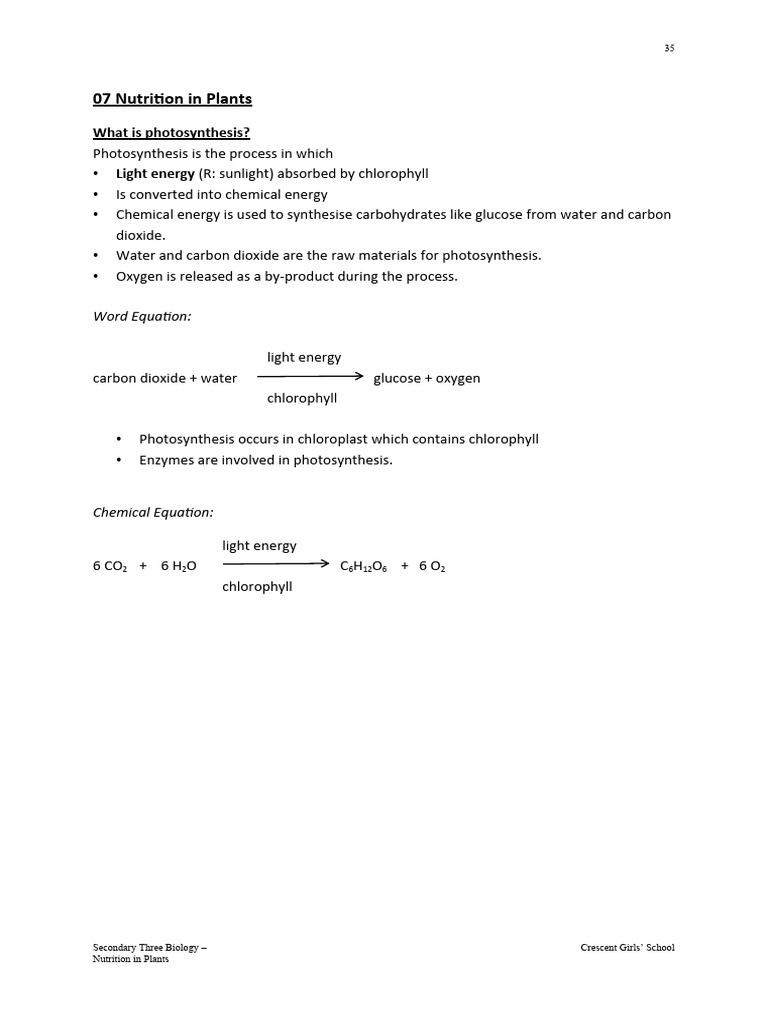 Nutrition in Plants: Photosynthesis Explained | PDF | Leaf | Stoma