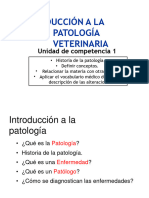 Introducción A La Patologia