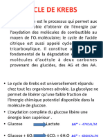 2 - CYCLE DE KREBS PPT