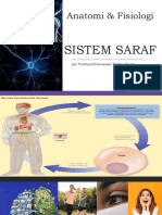 Sistem Saraf 1 Edit