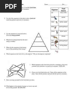 Energy Pyramid Worksheet Pdf Pyramid Worksheet | Worksheets Free