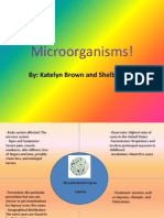 Microorganisms!: By: Katelyn Brown and Shelby Hutto