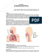 JOB SHEET Suction Pada Anak dan Dewasa